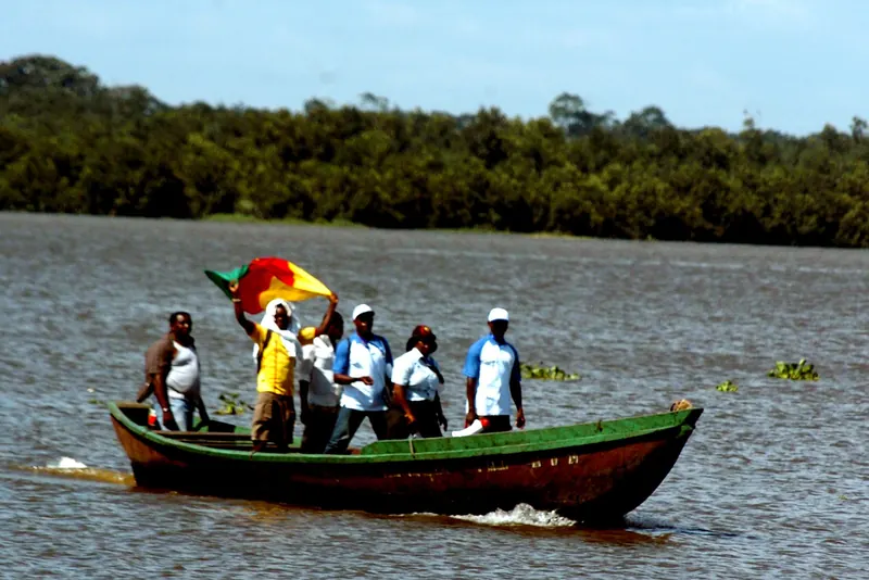 Pirogue race at the Ngondo festival
