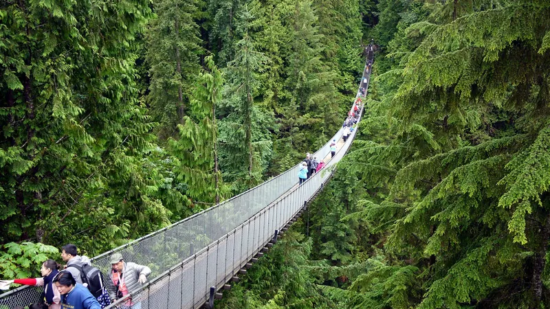 The Capilano Suspension Bridge, North Vancouver