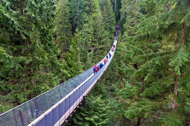 The Capilano Suspension Bridge, North Vancouver