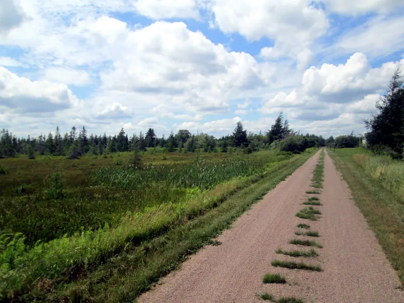 The Confederation Trail at Bear River, PEI