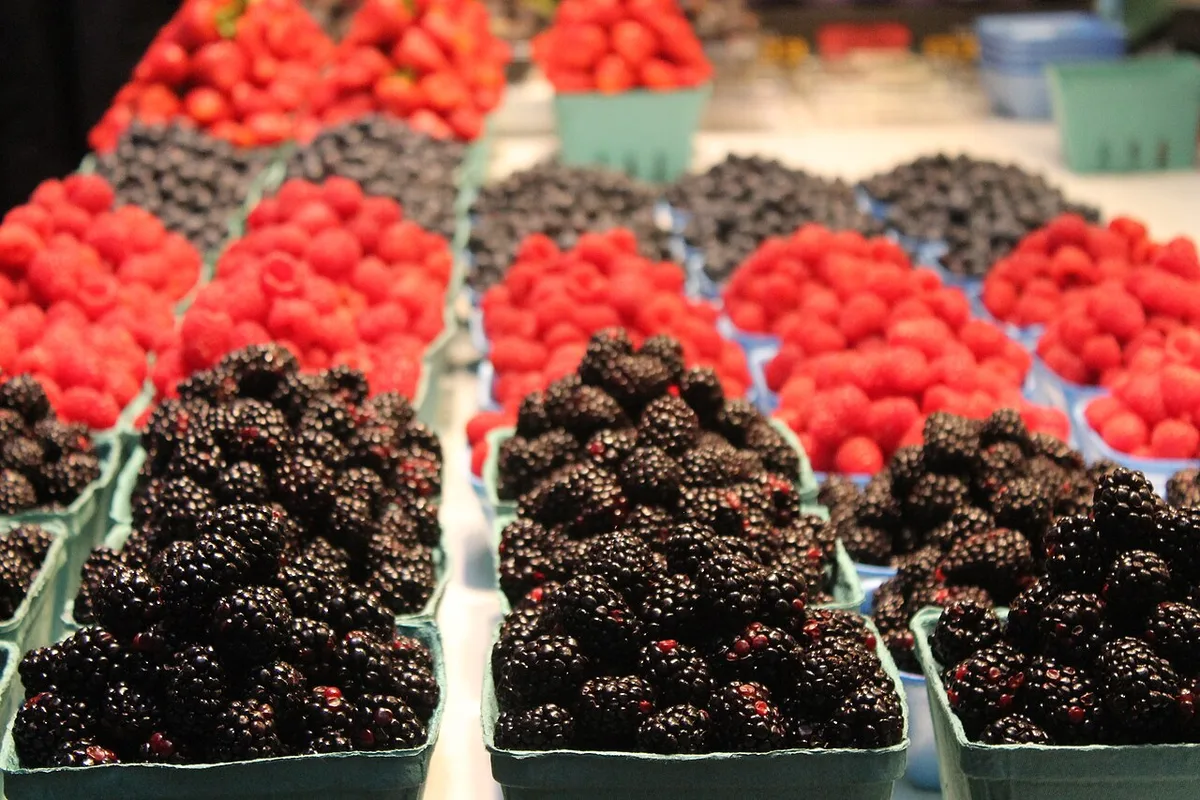 Fresh BC berries at a Vancouver farmers market