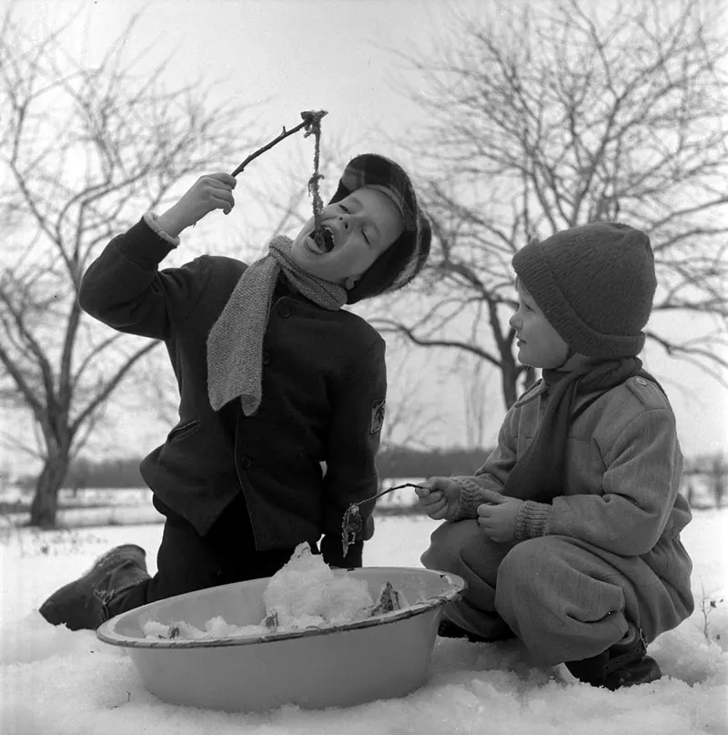 Children eating maple taffy on snow, Quebec (1956)