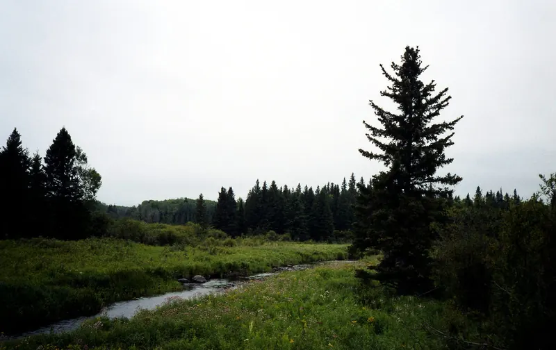 Riding Mountain National Park, Manitoba