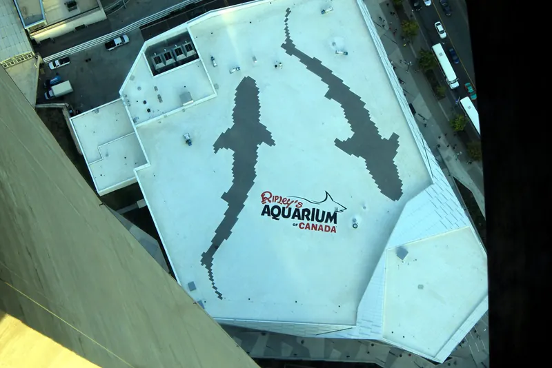 Ripley's Aquarium of Canada from the CN Tower, Toronto