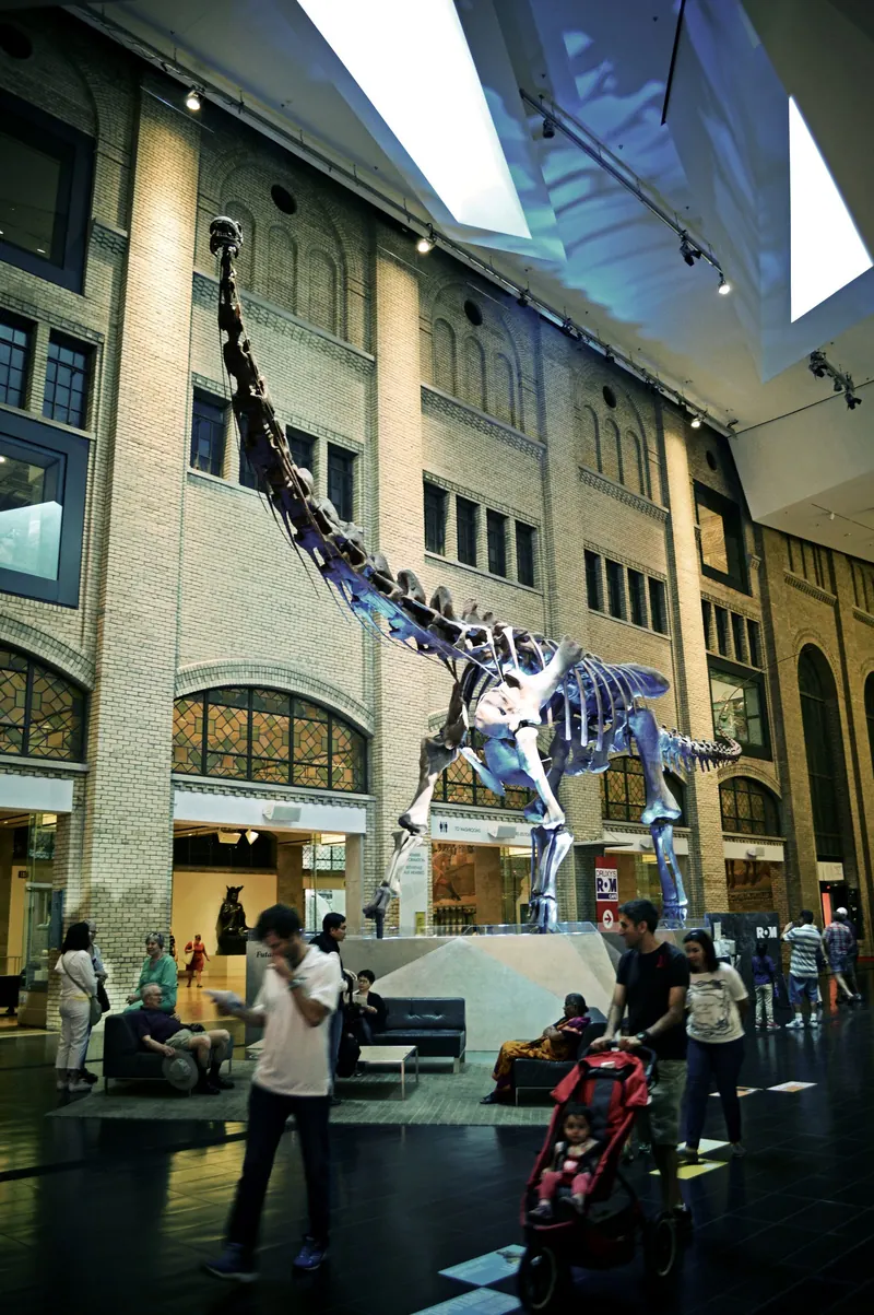 The Royal Ontario Museum, Toronto