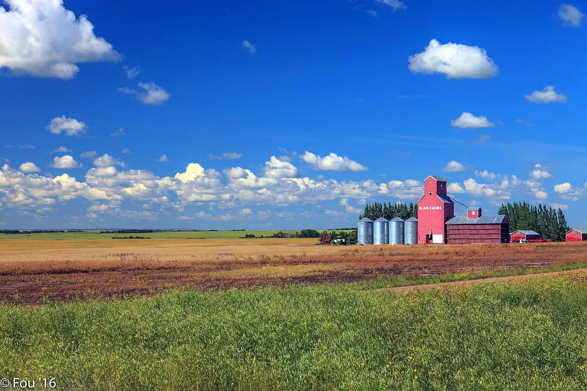 A grain elevator in the Saskatchewan prairies