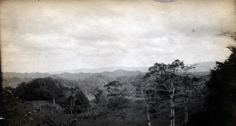 The Blue Mountains, Jamaica