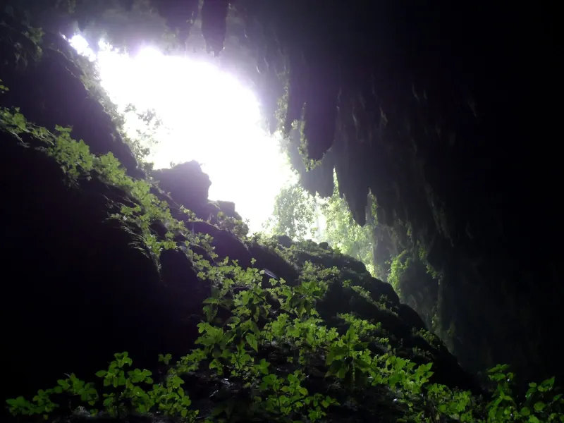 The Camuy caves, Puerto Rico
