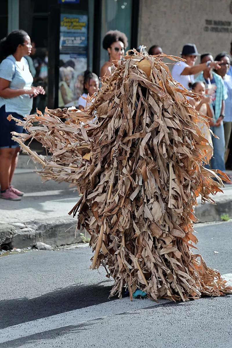 Costumed reveller at Crop Over, Barbados
