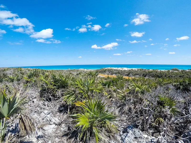 The Exuma Cays Land and Sea Park