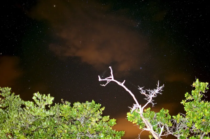 Mosquito Bay, Vieques