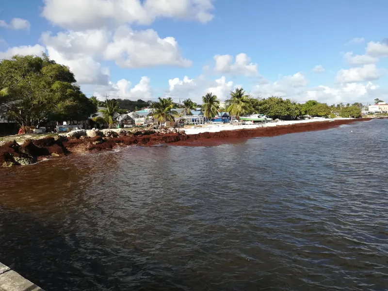 The Oistins shoreline, Barbados