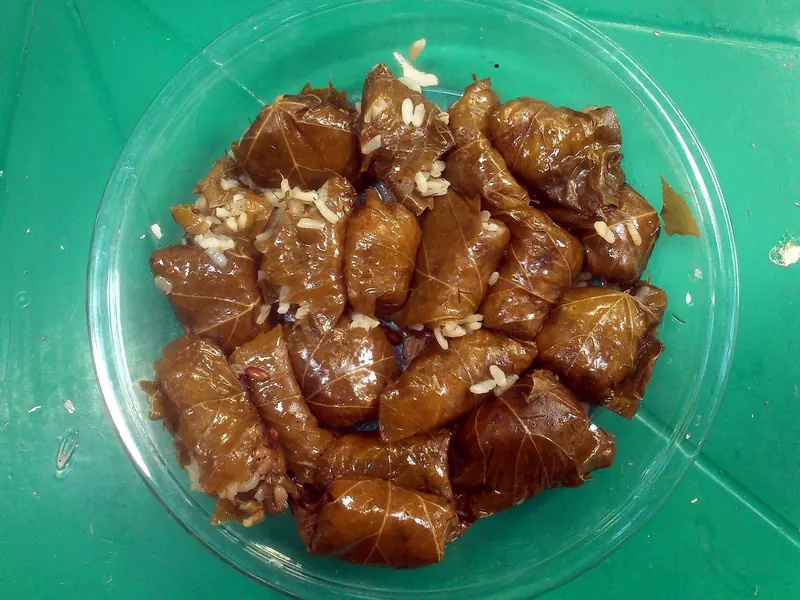 Dolmadakia: stuffed vine leaves, a traditional Greek meze
