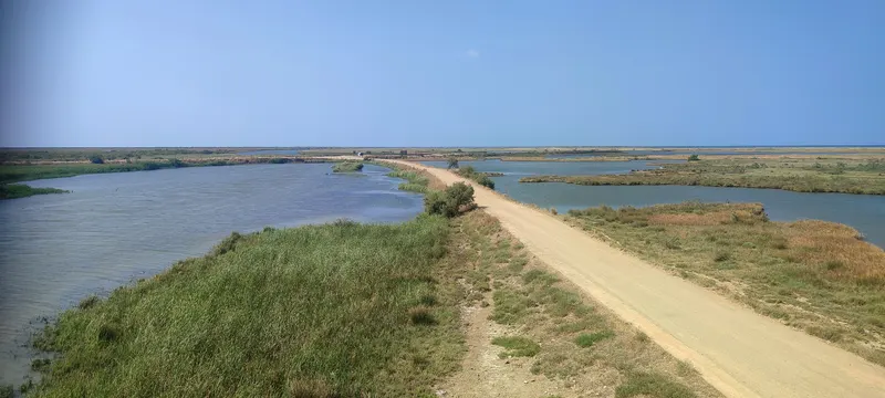 The Evros Delta landscape