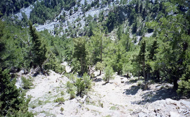 The Samaria Gorge, Crete