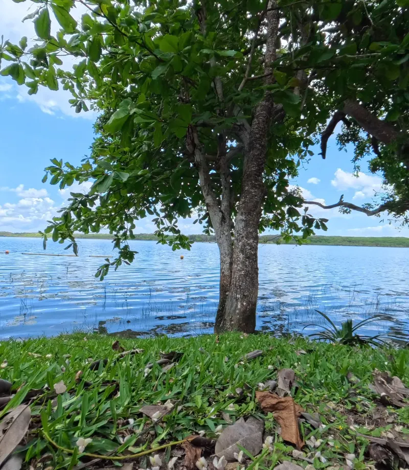 Bacalar Lagoon, the Lake of Seven Colors