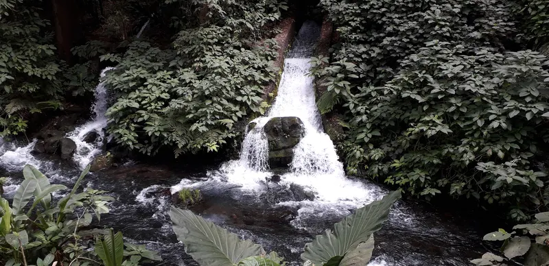 The Cupatitzio River in Uruapan, Michoacan