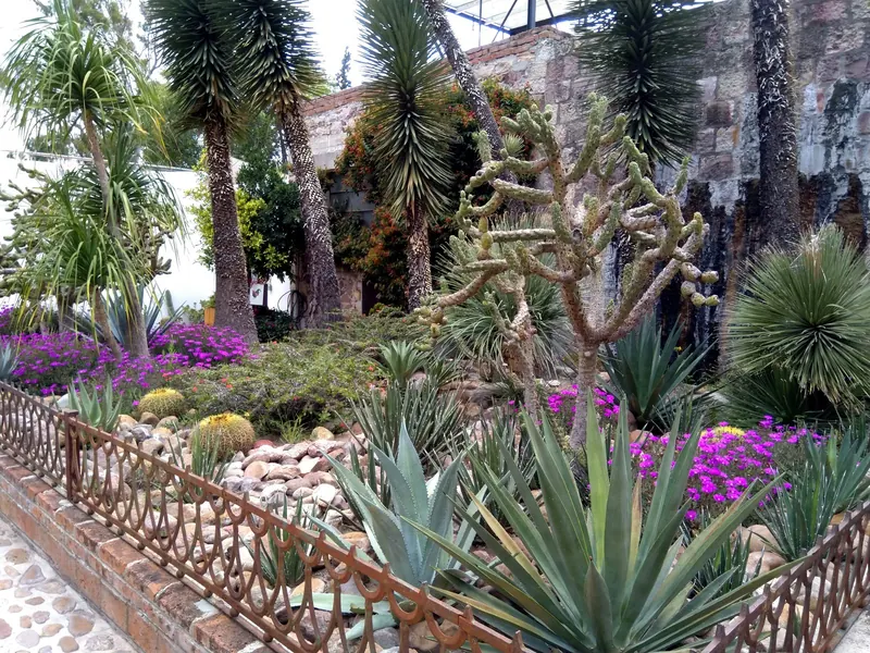 The garden of the Fabrica La Aurora, San Miguel de Allende