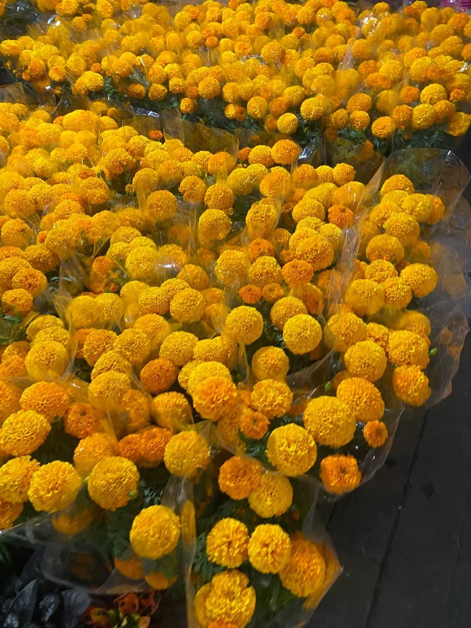 Cempasúchil (marigolds) at the Mercado de Jamaica
