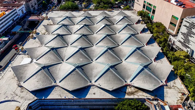 The San Juan de Dios market, Guadalajara, from the air
