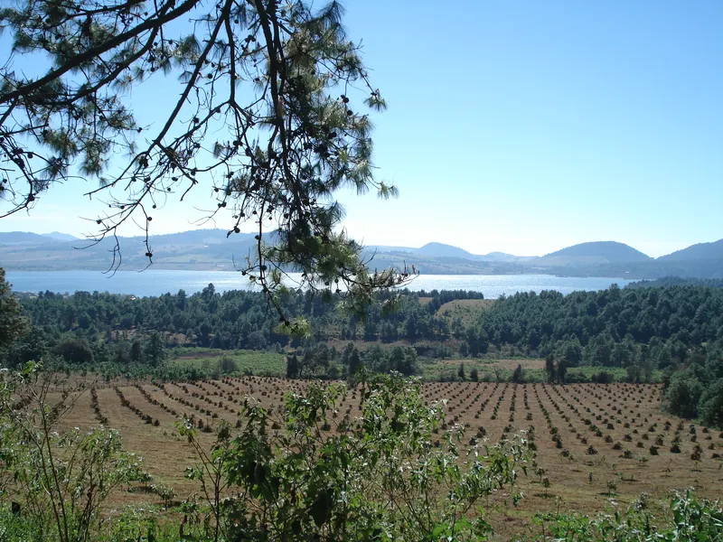 Santa Clara del Cobre, Michoacan
