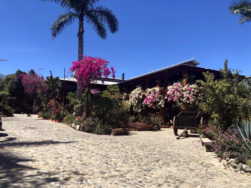 The Vallarta Botanical Gardens