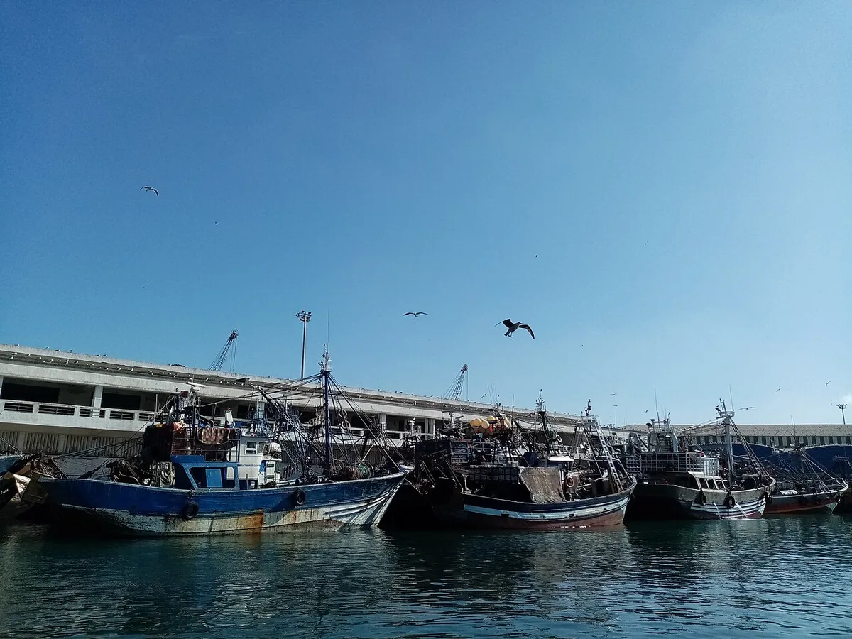 Fishing boats at the port of Casablanca