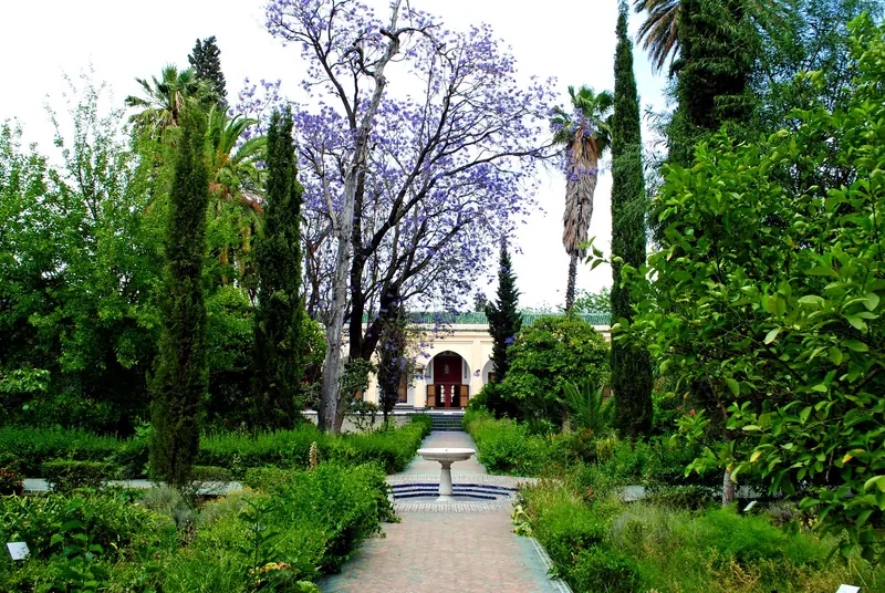 Dar Batha Museum, Fès