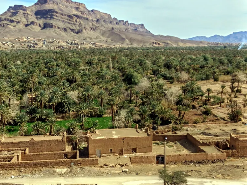 Palms and kasbahs in the Draa Valley