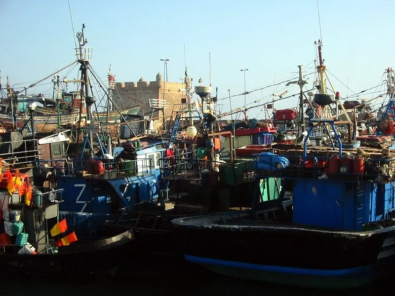 Fishing boats in Essaouira's harbour