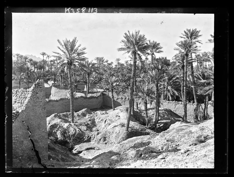 Figuig oasis