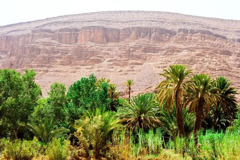 Fint Oasis, Ouarzazate