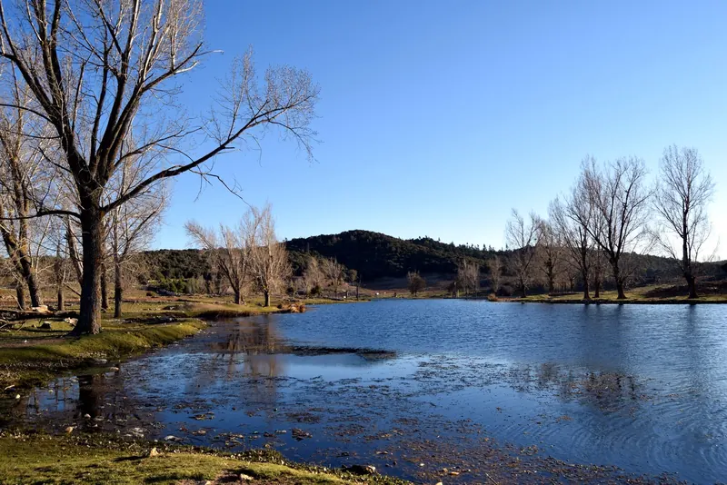 Ifrane