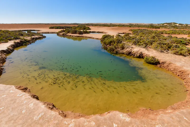 The Imlili sebkha lagoon, near Dakhla