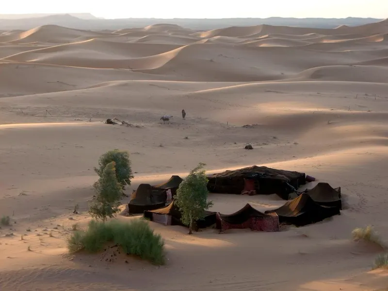 The dunes near M'Hamid