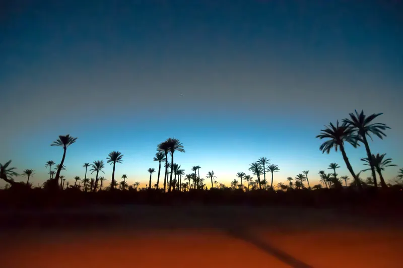 Palmeraie, Marrakech