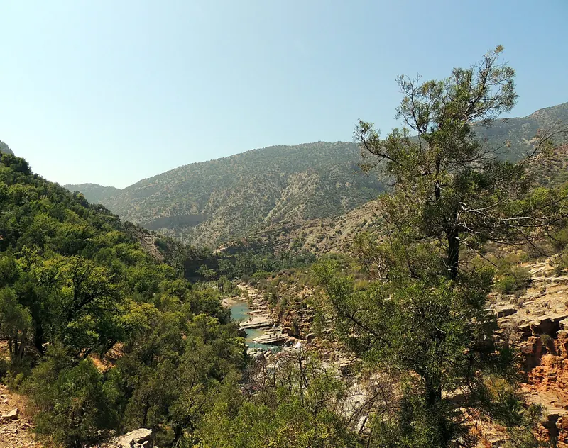 Paradise Valley