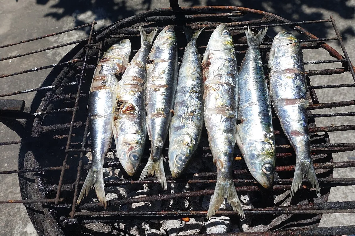 Sardines grilling over charcoal