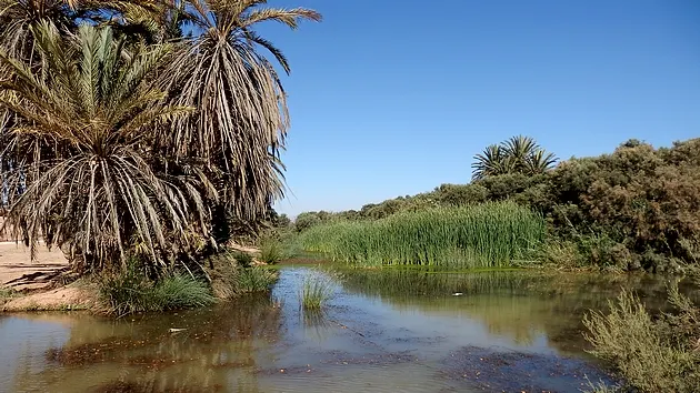 The Tighmert oasis