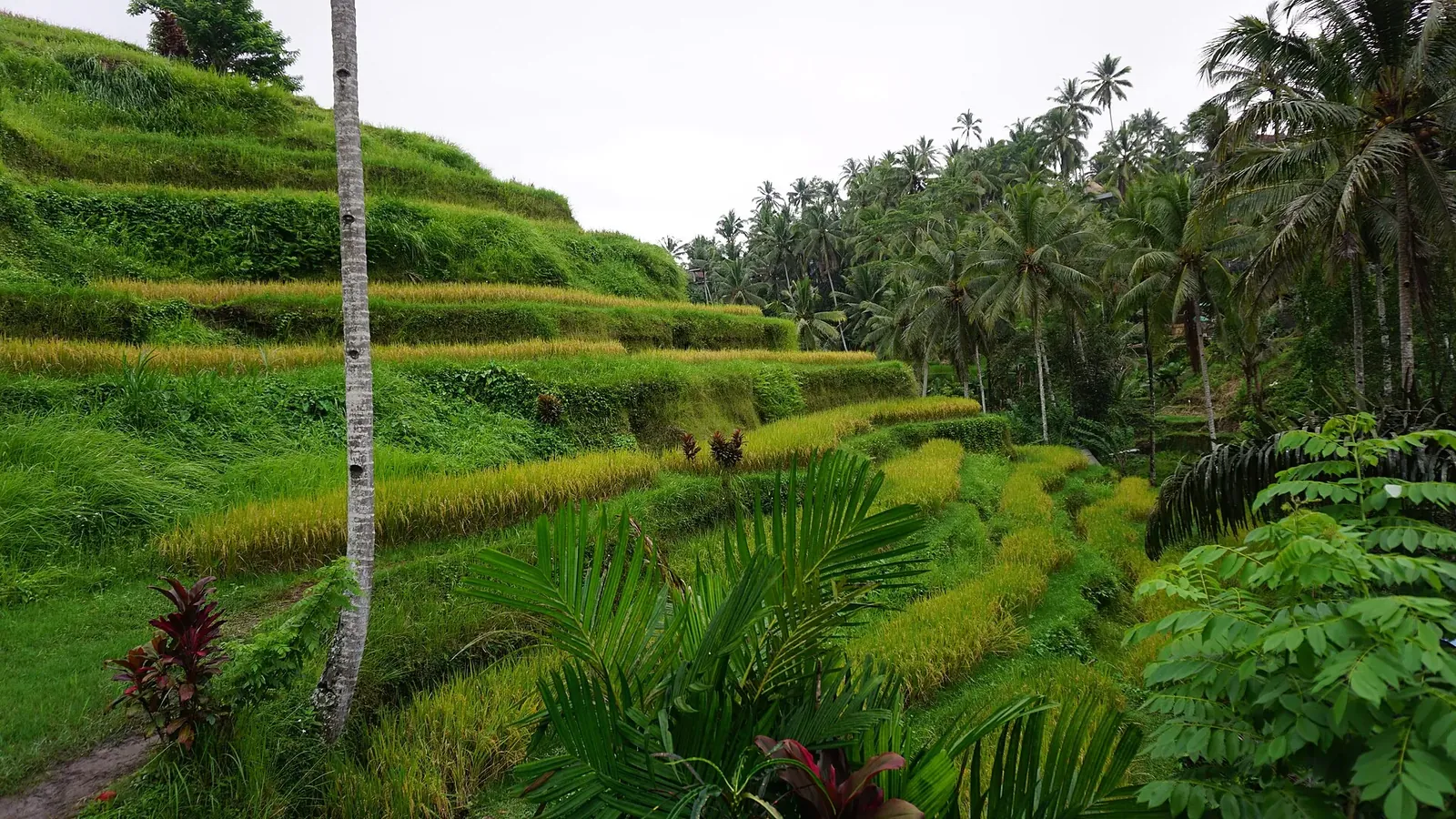 Bali cityscape