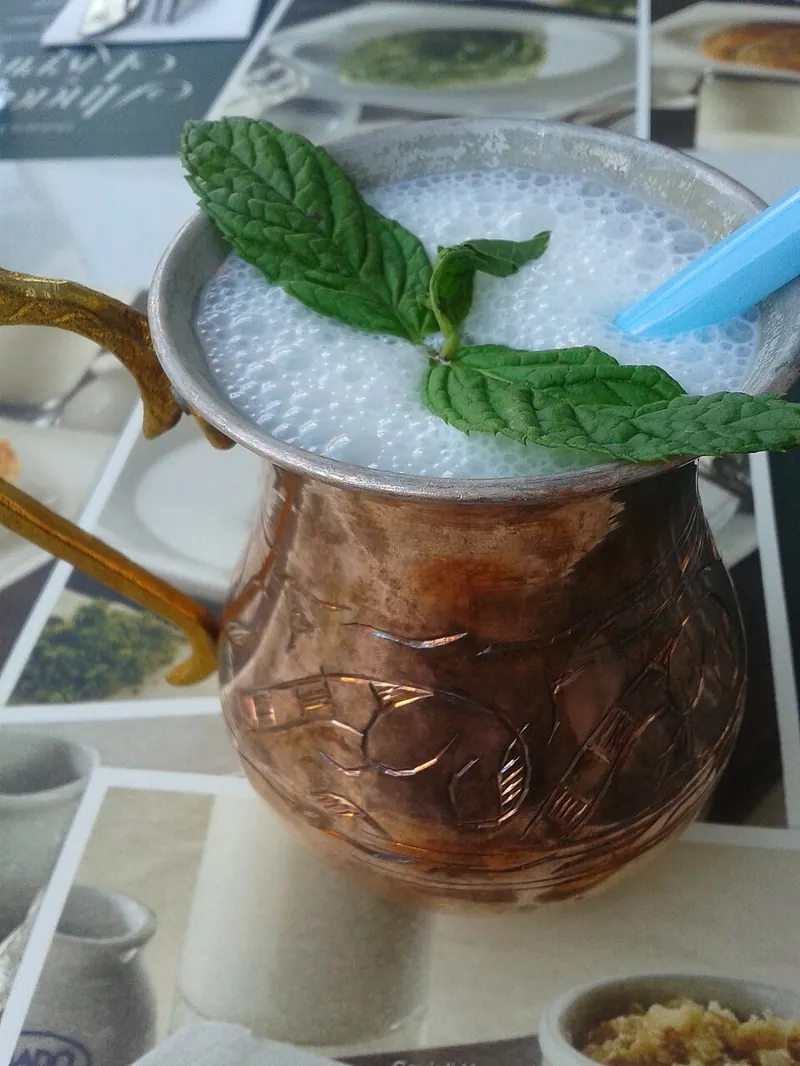 Ayran, the salted yogurt drink