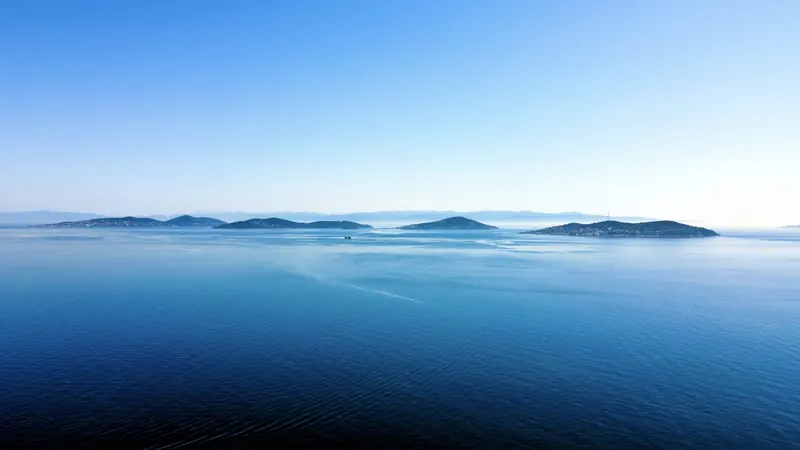 The Princes' Islands in the Sea of Marmara from above