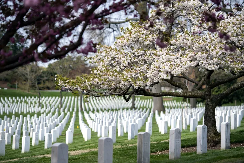 Arlington National Cemetery