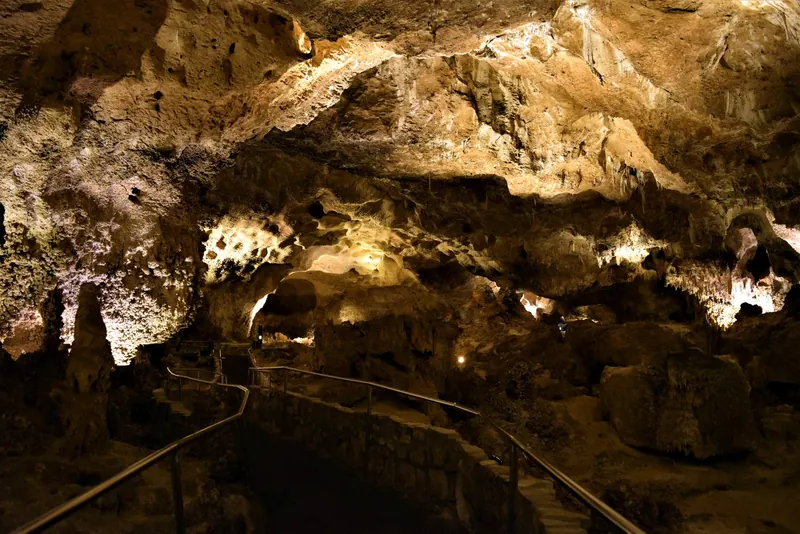 The Big Room, Carlsbad Caverns