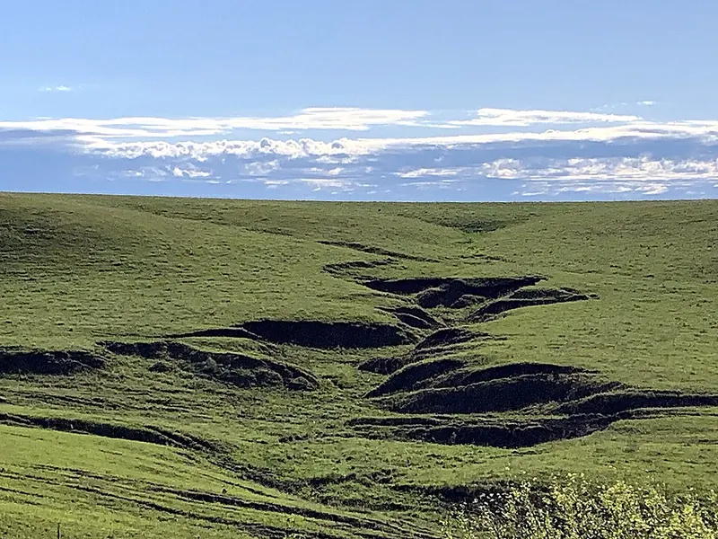 Tallgrass prairie in the Flint Hills