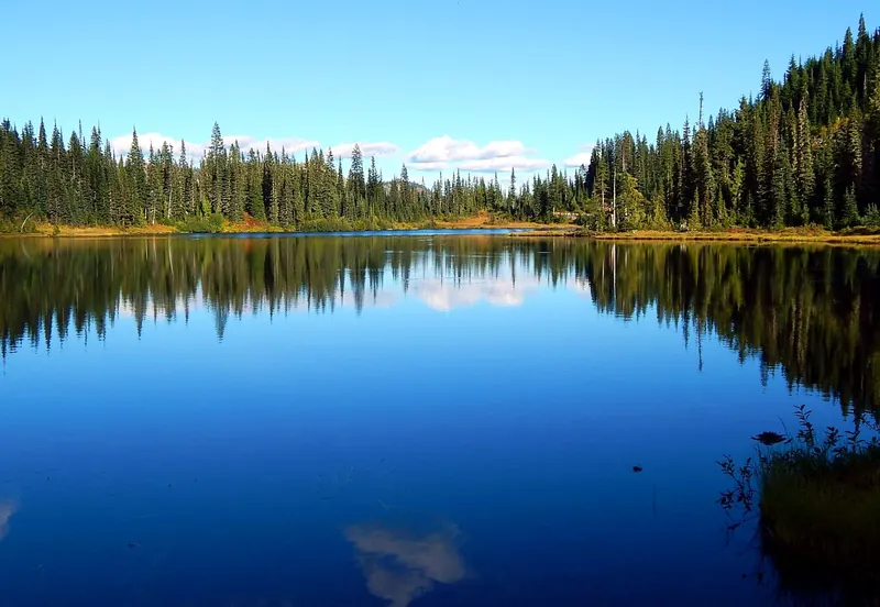 Mount Rainier reflected in Reflection Lakes