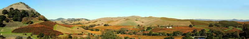 Vineyards in Napa Valley, California