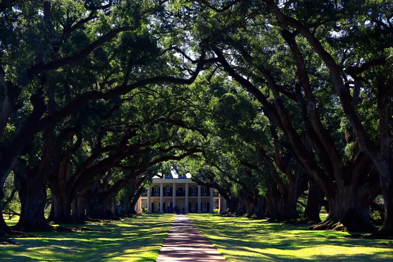Oak Alley, Louisiana