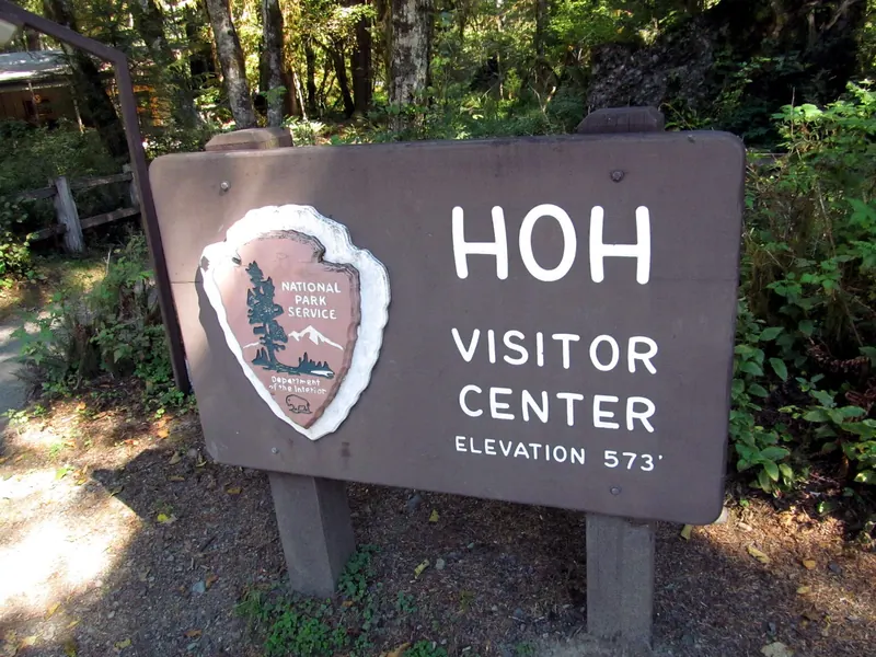 The Hoh Rainforest, Olympic National Park