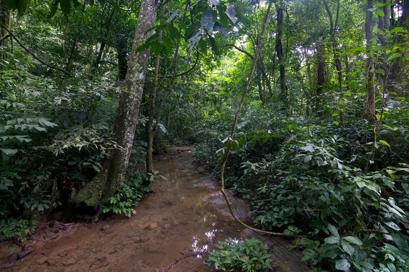 Cuc Phuong National Park